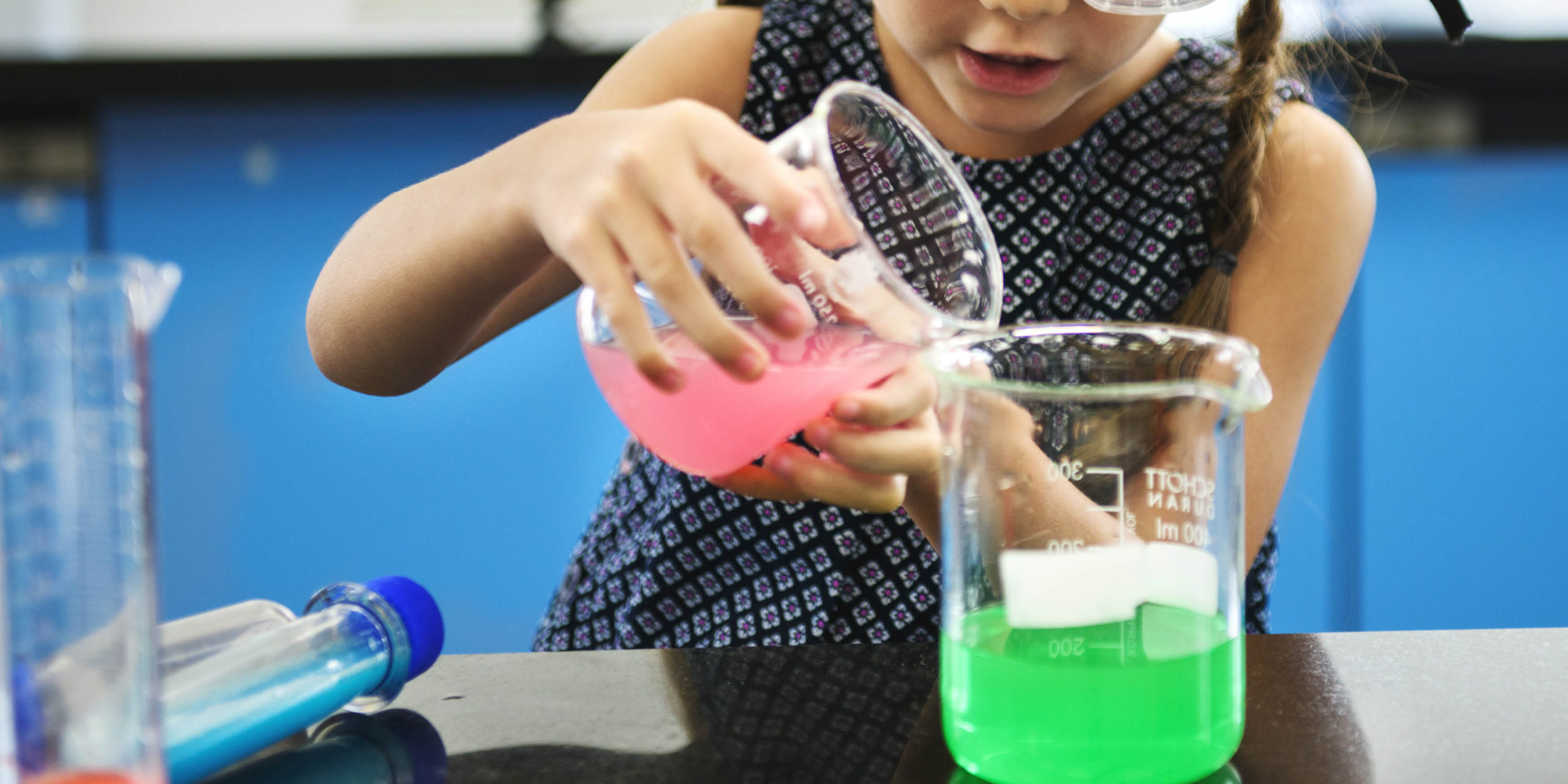 Science Subject Leader Update- Summer Term 2025